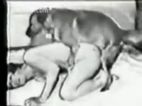[ Zoo Sex Movie ] Hubby records serf Married slut having a beastiality romp